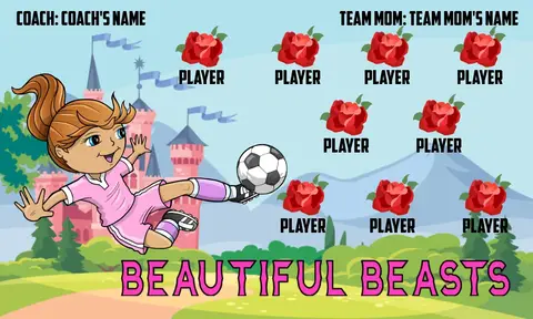Beautiful Beasts 2 Soccer Banner-soccer-banners-with-stand-picture