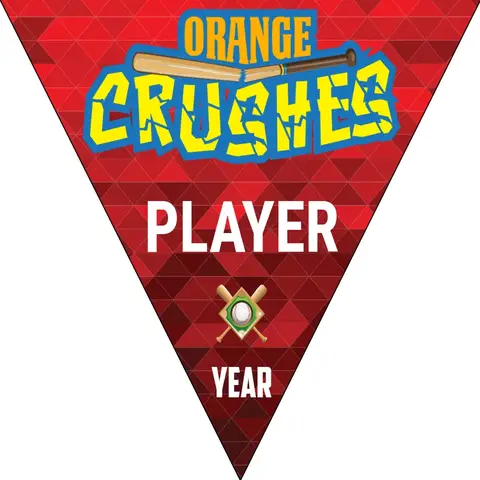 Orange Crush 1 Softball Banner-softball-all-star-banners-images