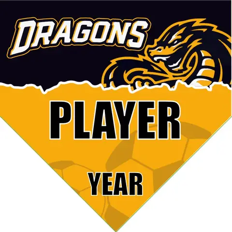 Dragons 1 Soccer Banner-nike-soccer-banner-picture
