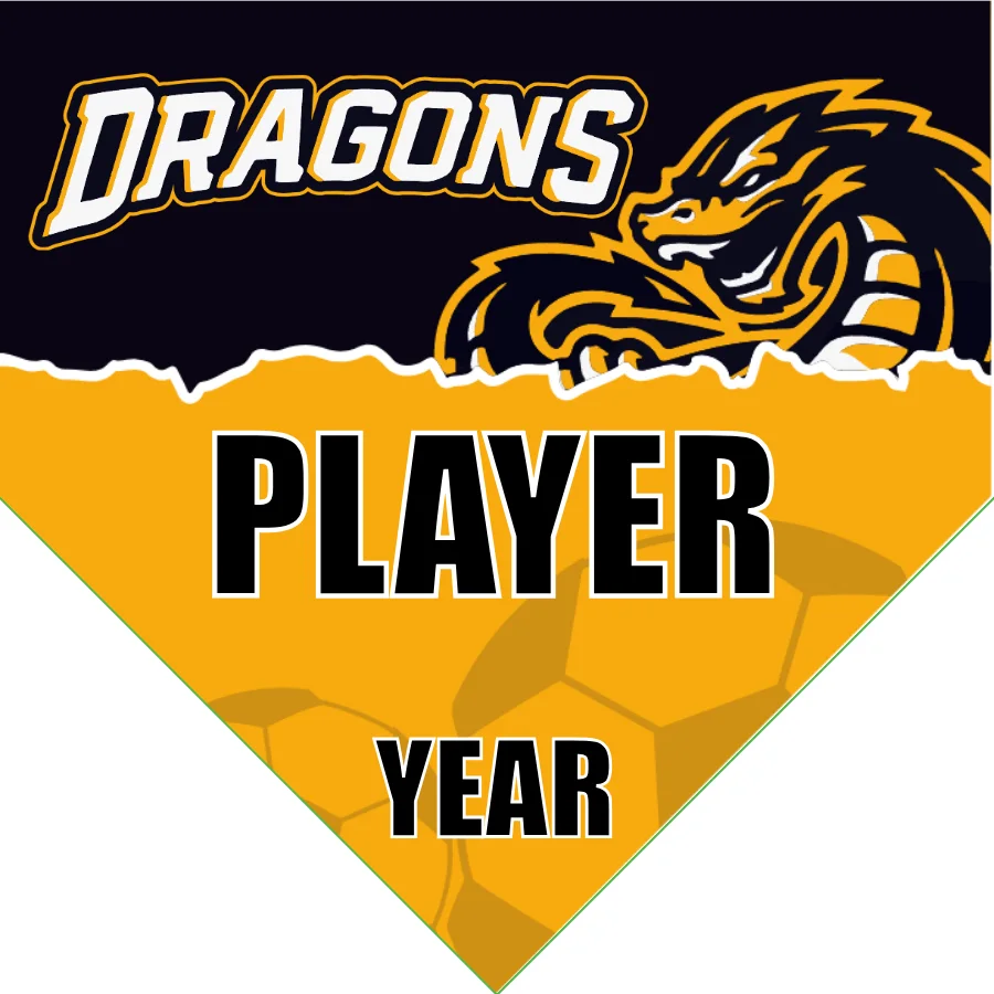 Dragons 1 Soccer Banner-nike-soccer-banner-picture