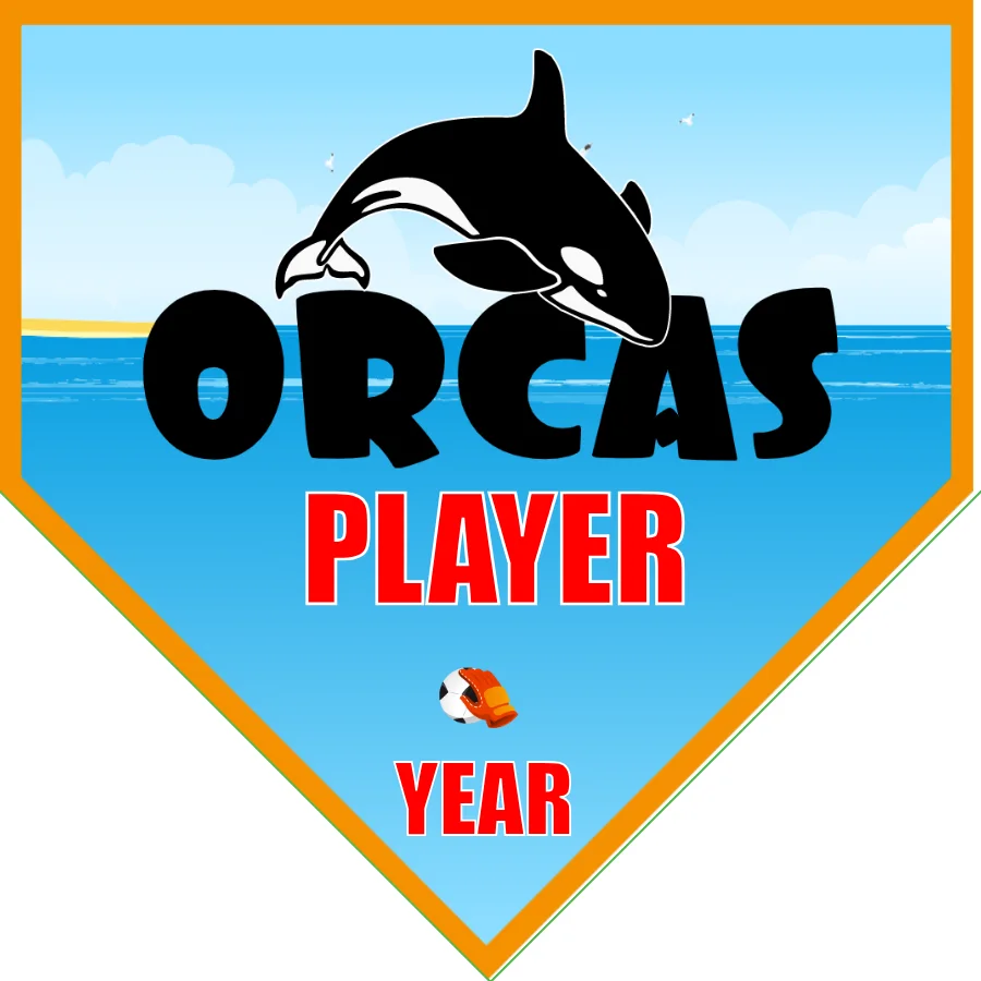 Orcas Soccer Banner-soccer-team-banner-picture