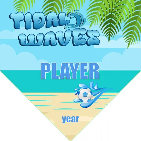 Waves Tidal Soccer Banner-soccer-banners-for-sale-picture