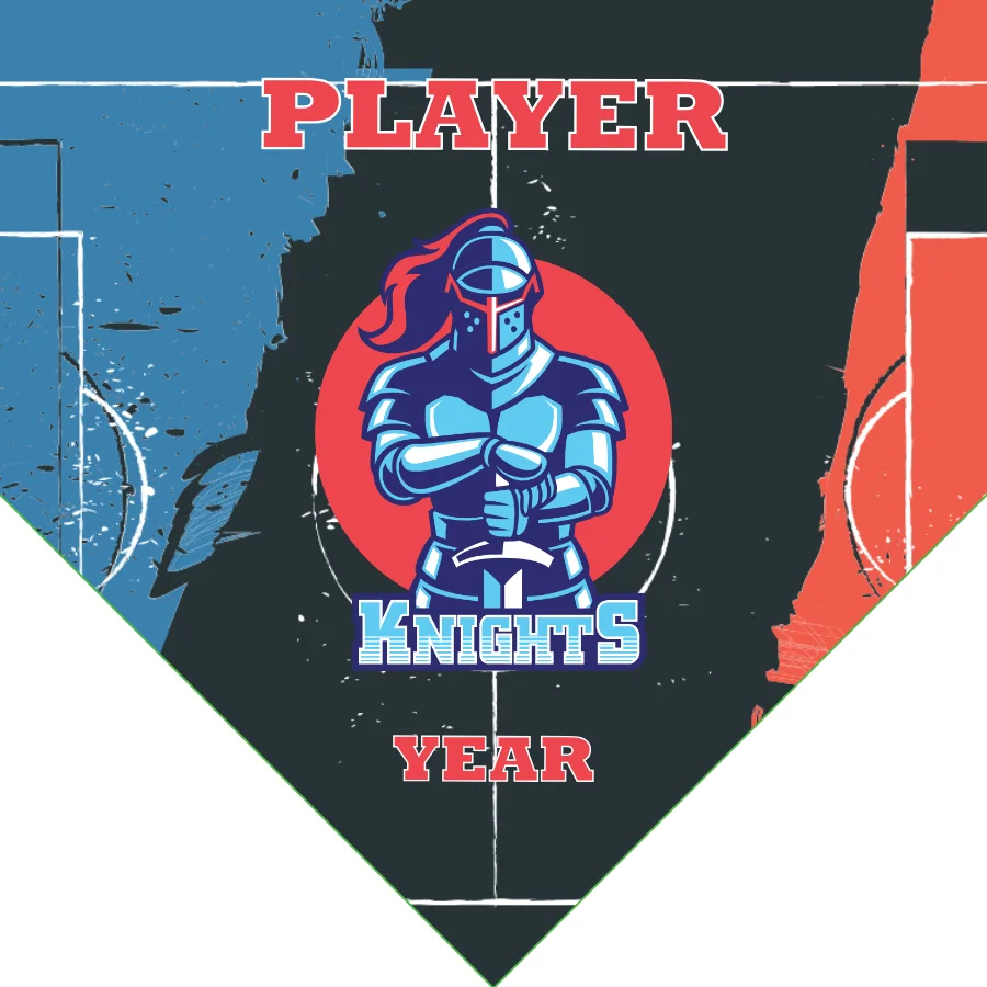 Knights 1 Soccer Banner-soccer-banners-costa-mesa-picture