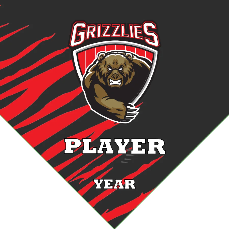 Grizzlies Soccer Banner-soccer-banners-simi-valley-picture