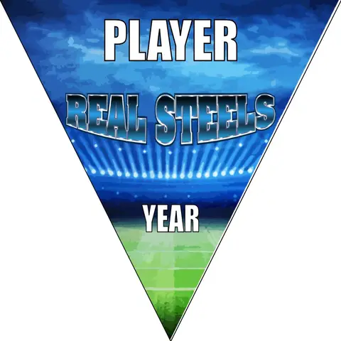 Real Steels Soccer Banner-soccer-banner-gallery-picture