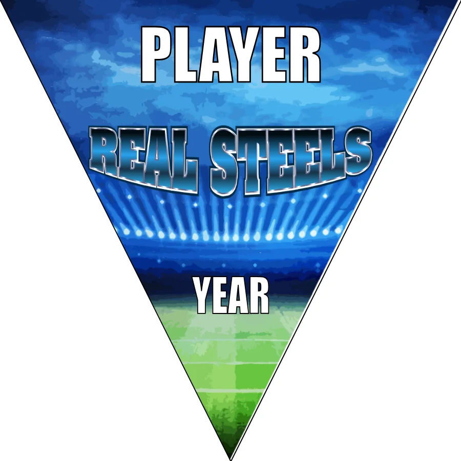 Real Steels Soccer Banner-soccer-banner-gallery-picture