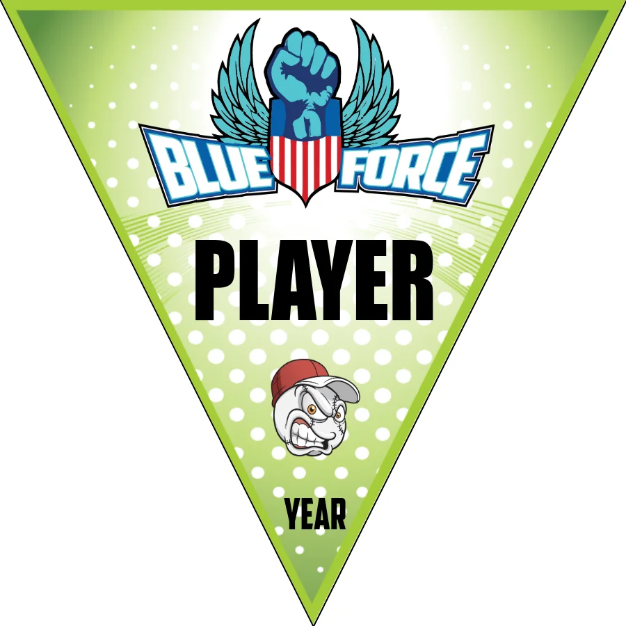 Blueforce Softball Banner-softball-team-banners-images