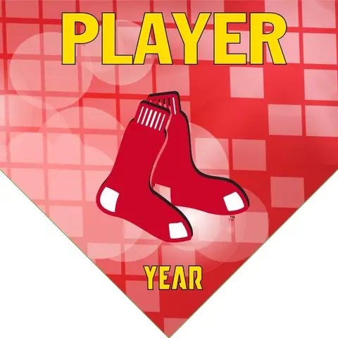 Boston Red Sox Baseball Banner-reds-baseball-banner-images