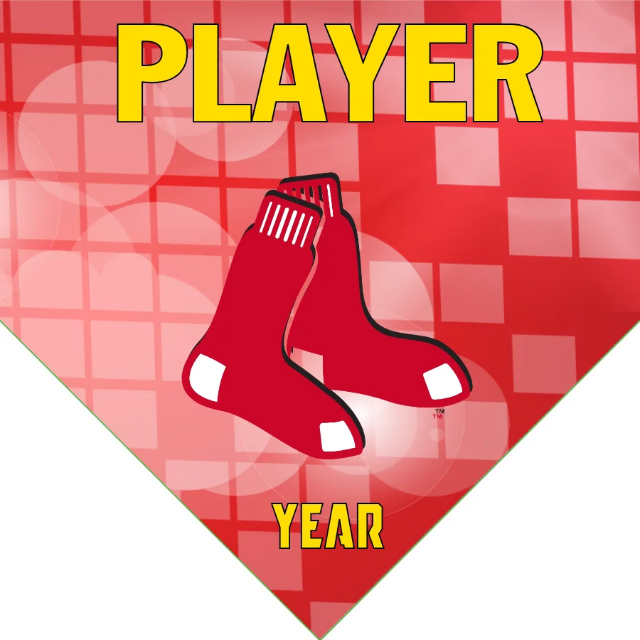 Boston Red Sox Baseball Banner-reds-baseball-banner-images