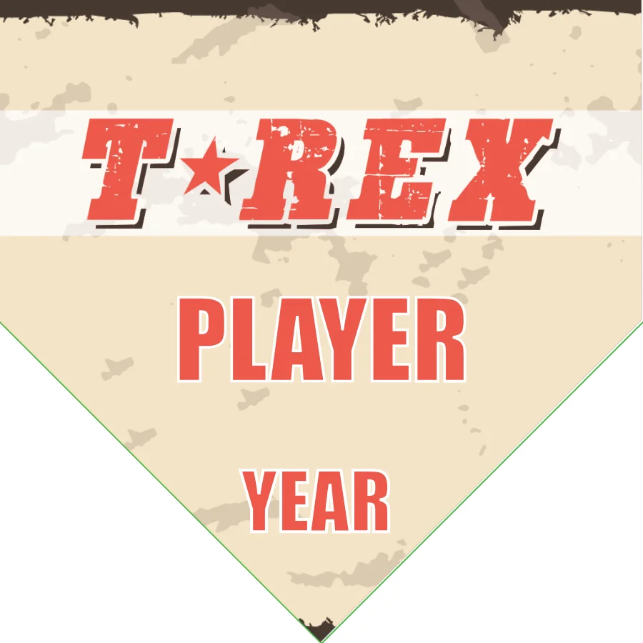T Rex 3 Soccer Banner