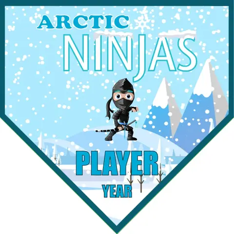 Arctic Ninjas Soccer Banner-youth-soccer-banners-picture