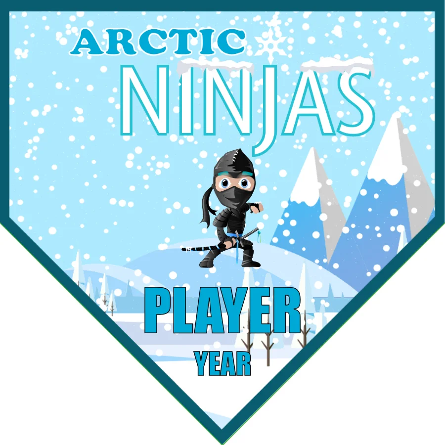 Arctic Ninjas Soccer Banner-youth-soccer-banners-picture