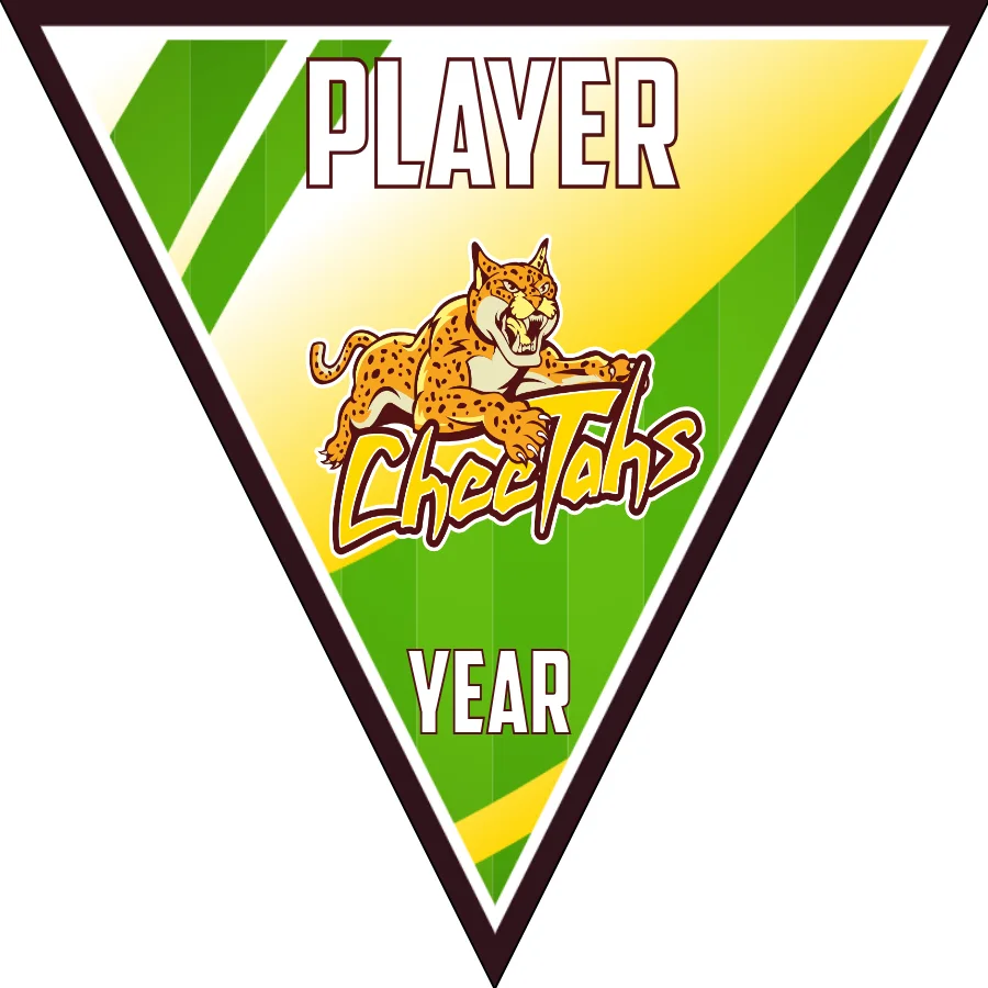Cheetahs-green-yellow-triangle-softball-banners-ideas-picture