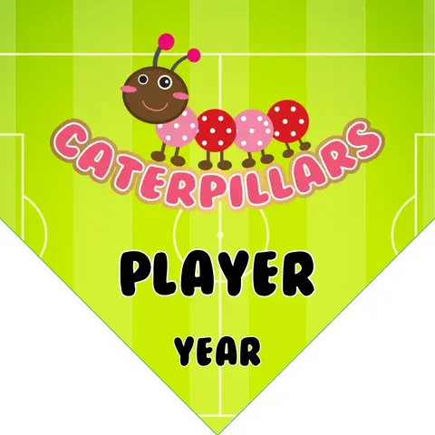 Caterpillars Soccer Banner-soccer-mom-facebook-banner-picture