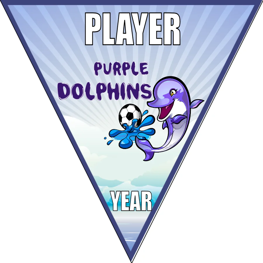 Dolphins Purple Soccer Banner-soccer-banner-frame-picture