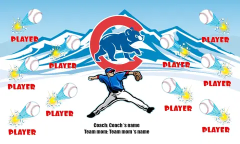 Cubs Baseball Banner-baseball-team-banners-with-photos-images