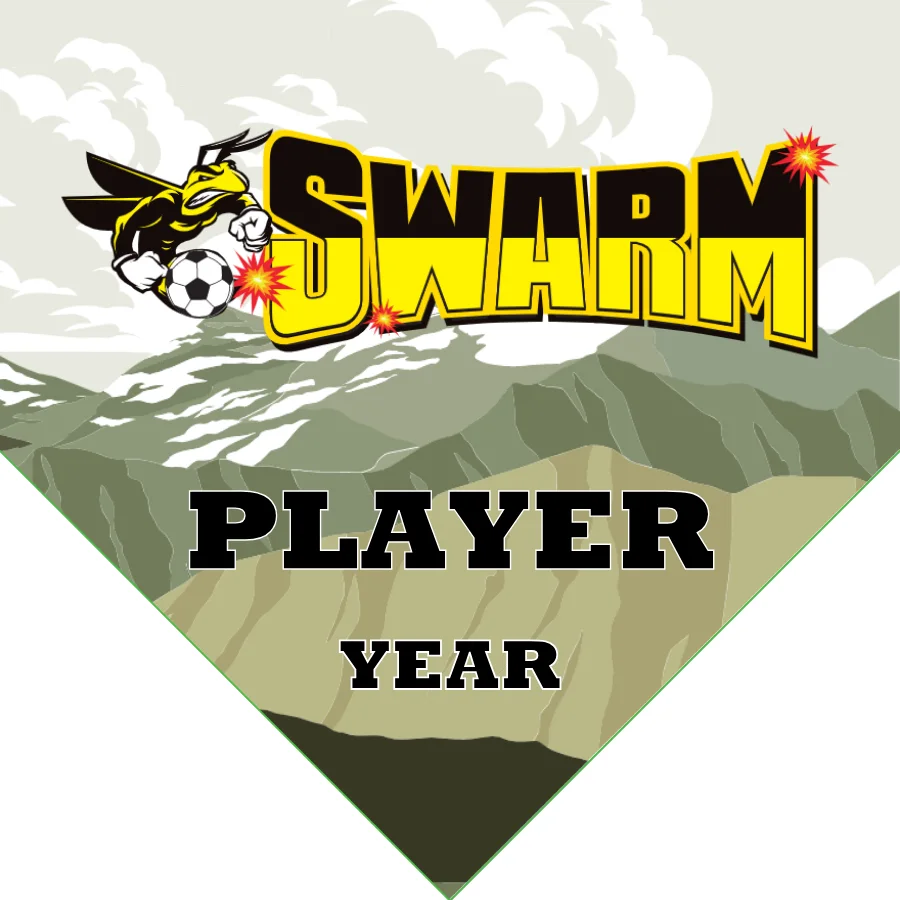 Swarm Soccer Banner-soccer-banner-stand-pvc-picture