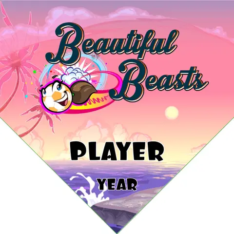 Beautiful Beasts Soccer Banner-ayso-soccer-banner-dimensions-picture