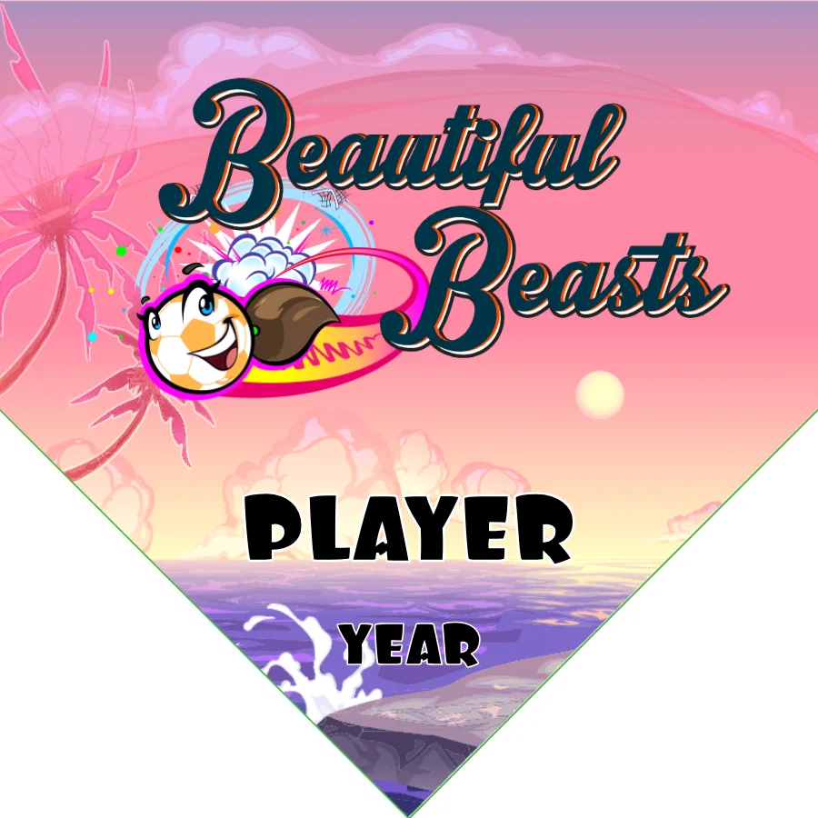 Beautiful Beasts Soccer Banner-ayso-soccer-banner-dimensions-picture