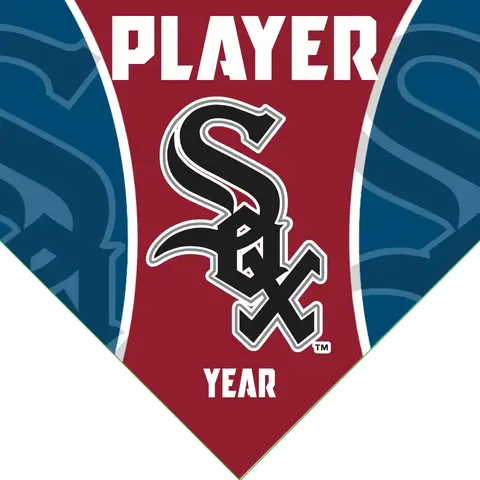 White Sox Baseball Banner-baseball-banner-printing-images