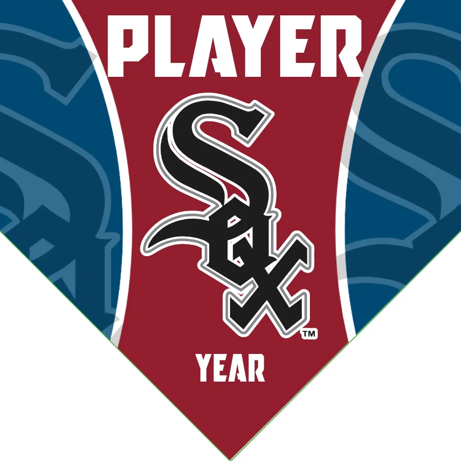 White Sox Baseball Banner-baseball-banner-printing-images