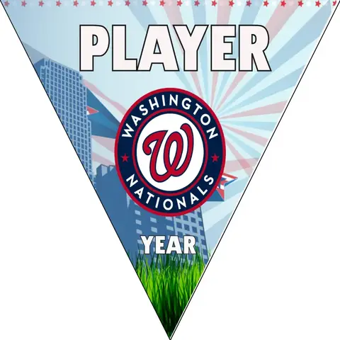 Washington 2 Baseball Banner-banner-'47-baseball-apparel-images