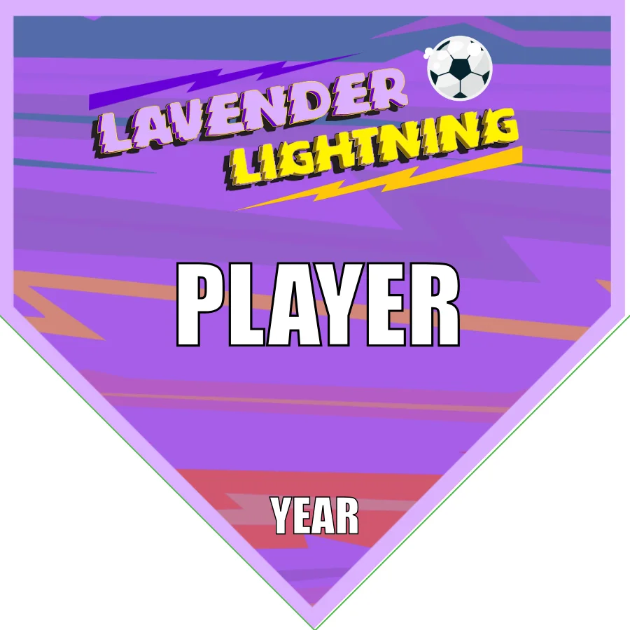 Lightning Lavender Soccer Banner-soccer-team-banners-picture