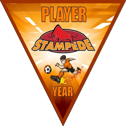 Stampede Soccer Banner-soccer-banners-san-diego-picture