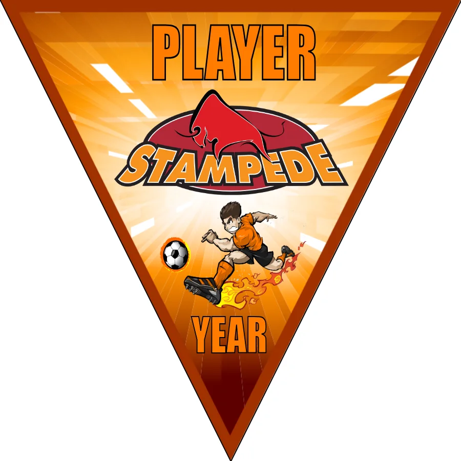 Stampede Soccer Banner-soccer-banners-san-diego-picture