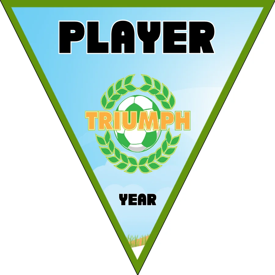 Triumph Soccer Banner-soccer-banners-in-san-diego-picture