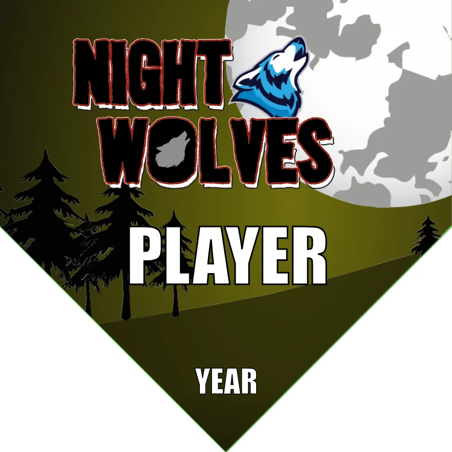 Night Wolves 2 Soccer Banner-youth-soccer-banners-picture