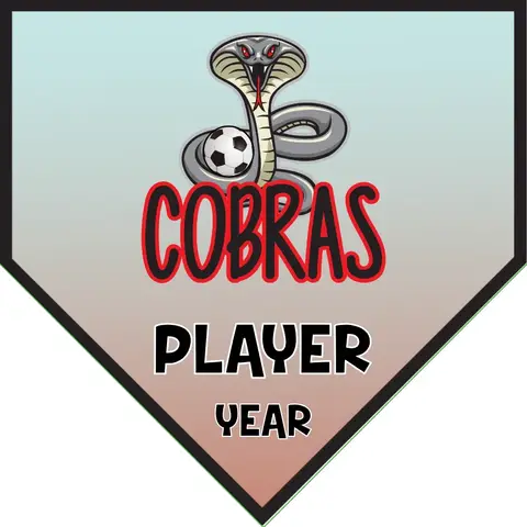 Cobras 1 Soccer Banner-german-soccer-banner-picture