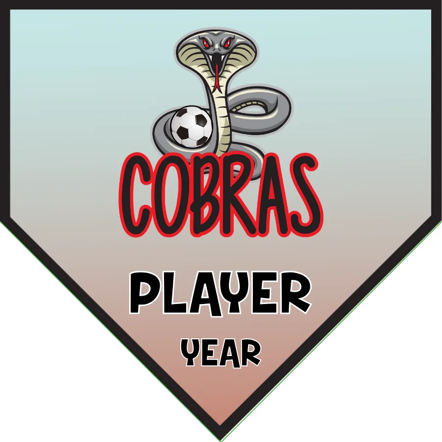 Cobras 1 Soccer Banner-german-soccer-banner-picture