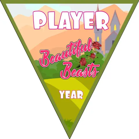 Beautiful Beasts 1 Soccer Banner-size-of-a-soccer-banner-picture