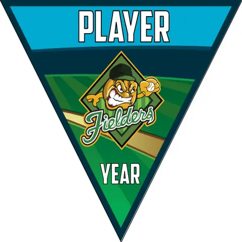 Fielders 2-green-yellow-triangle-softball-team-banner-ideas-picture