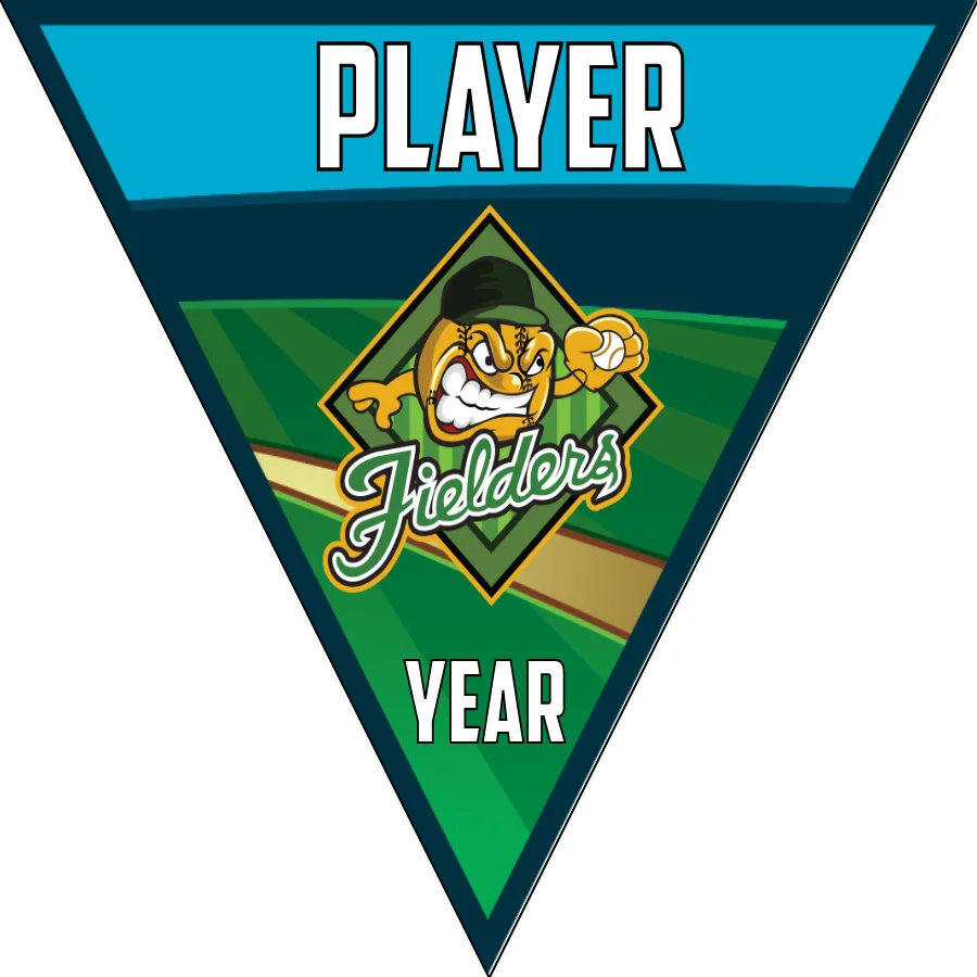 Fielders 2-green-yellow-triangle-softball-team-banner-ideas-picture