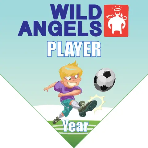 Wild Angles Soccer Banner-soccer-ball-banner-picture