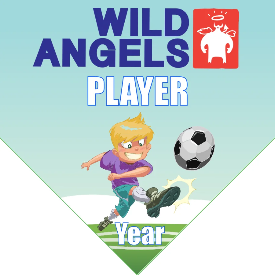 Wild Angles Soccer Banner-soccer-ball-banner-picture