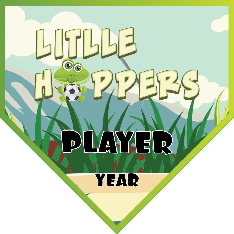 Little Hoppers Soccer Banner-soccer-team-banner-ideas-picture