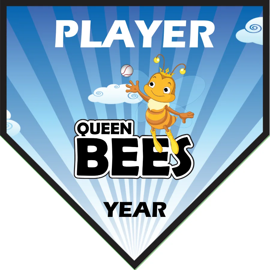 Queen Bees 2 Softball Banner-felt-softball-banners-images