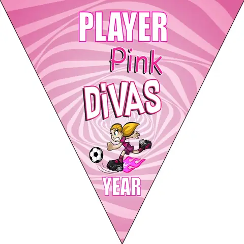 Divas Pink Soccer Banner-soccer-banners-sacramento-picture