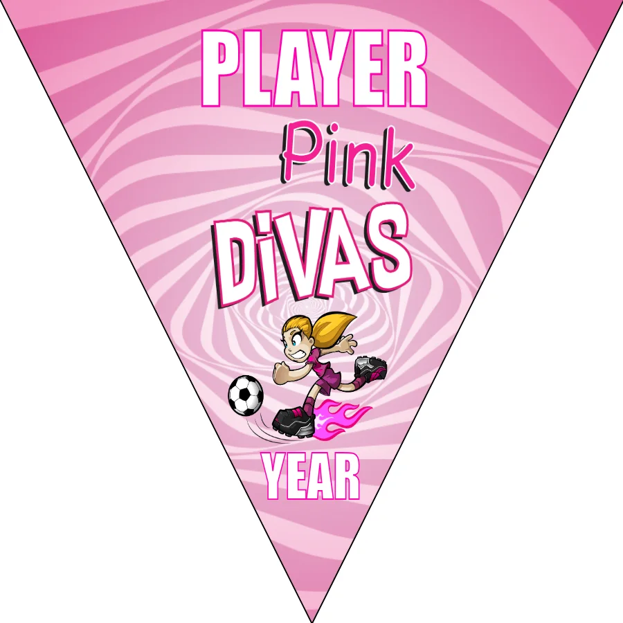 Divas Pink Soccer Banner-soccer-banners-sacramento-picture