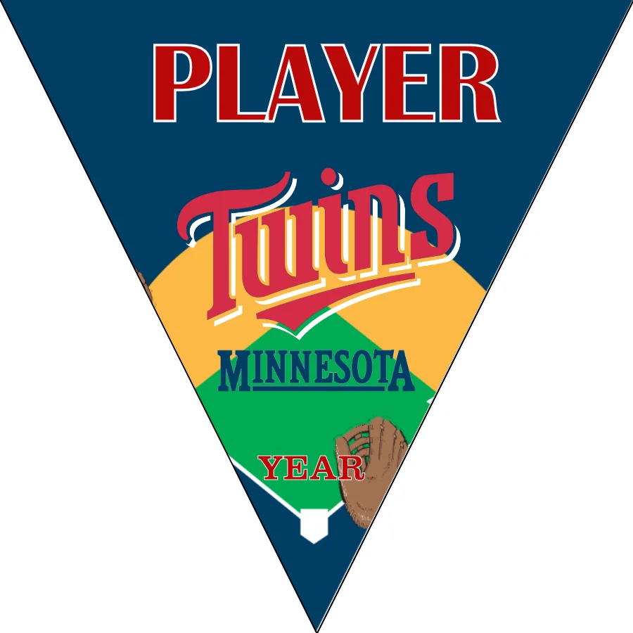Twins 2 Baseball Banner-modern-baseball-wall-banner-images