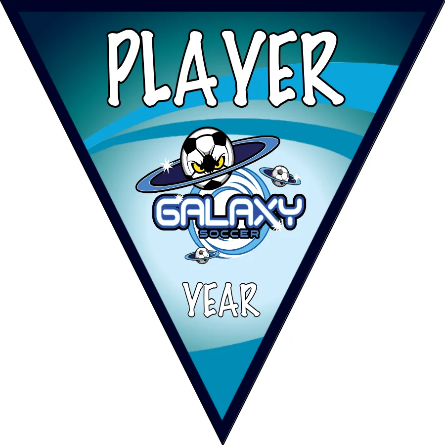 Galaxy 2 Soccer Banner-printable-soccer-banner-picture