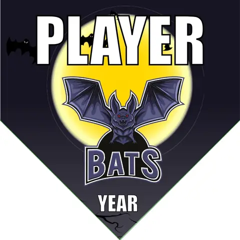 Bats 2 Softball Banner-softball-all-star-banners-images