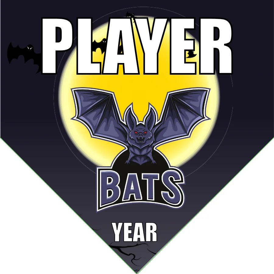 Bats 2 Softball Banner-softball-all-star-banners-images