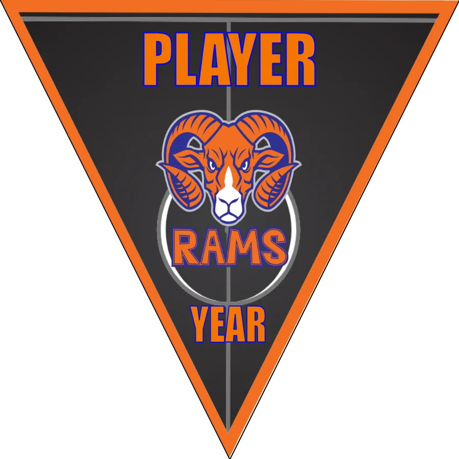 Rams Soccer Banner-soccer-banner-stand-pvc-picture