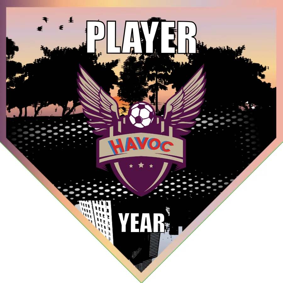 Havoc Soccer Banner-make-soccer-team-banner-picture