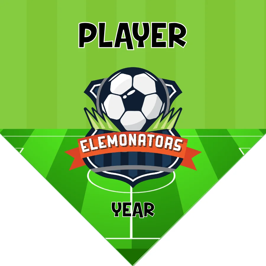 Elemonators Soccer Banner-soccer-banners-folsom-picture