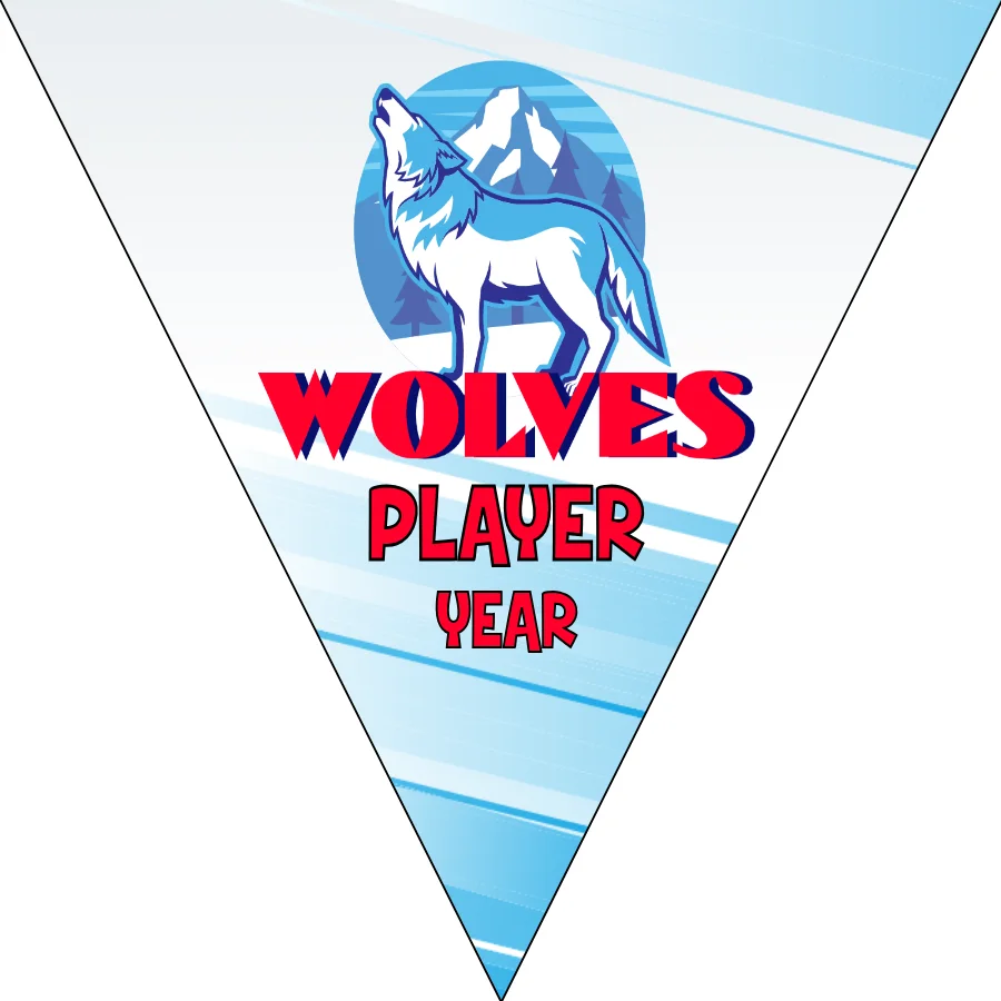 Wolves 3 Soccer Banner,-soccer-party-banner-picture